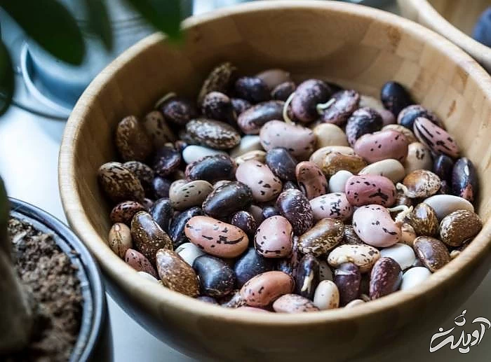 لوبیا خشک برای جلوگیری از سکته مغزی لوبیا خشک